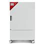 Binder KBW 240 growth chamber with light